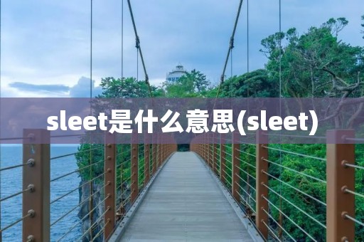 sleet是什么意思(sleet) sleet是什么意思(sleet)