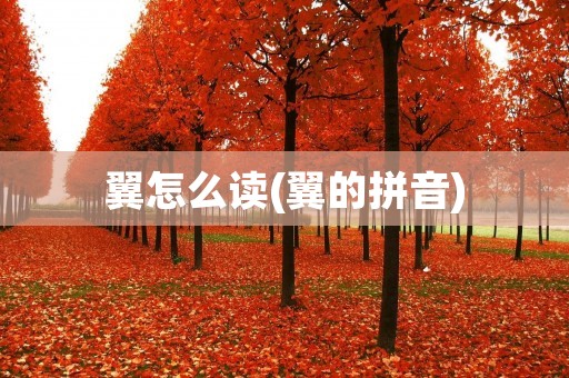 翼怎么读(翼的拼音)