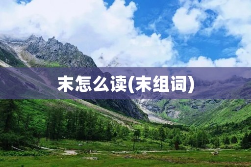 末怎么读(末组词)