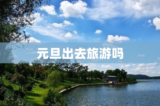 元旦出去旅游吗