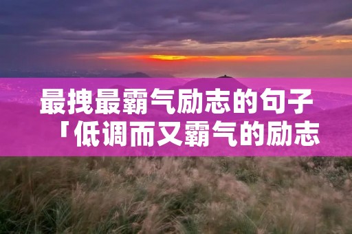 最拽最霸气励志的句子「低调而又霸气的励志句子」