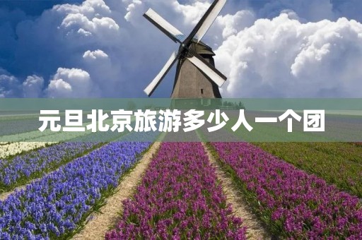 元旦北京旅游多少人一个团