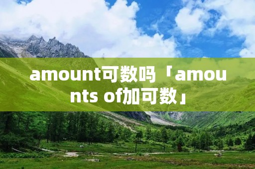 amount可数吗「amounts of加可数」