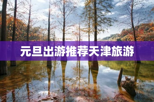 元旦出游推荐天津旅游