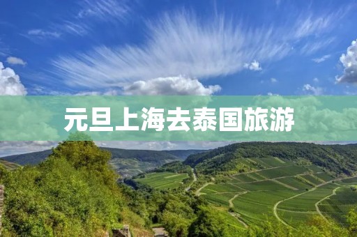 元旦上海去泰国旅游