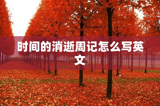 时间的消逝周记怎么写英文