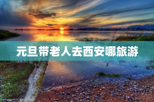 元旦带老人去西安哪旅游