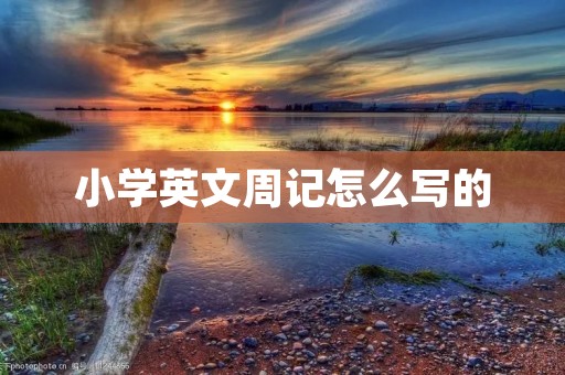 小学英文周记怎么写的