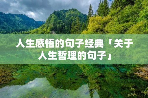 人生感悟的句子经典「关于人生哲理的句子」
