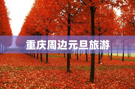 重庆周边元旦旅游