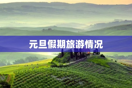 元旦假期旅游情况