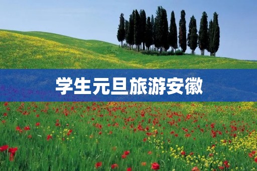 学生元旦旅游安徽