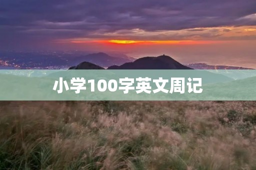 小学100字英文周记