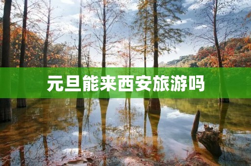 元旦能来西安旅游吗