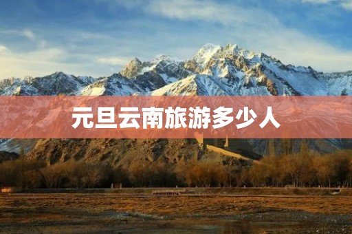 元旦云南旅游多少人
