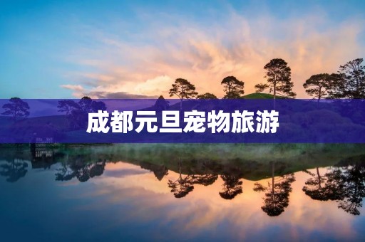 成都元旦宠物旅游