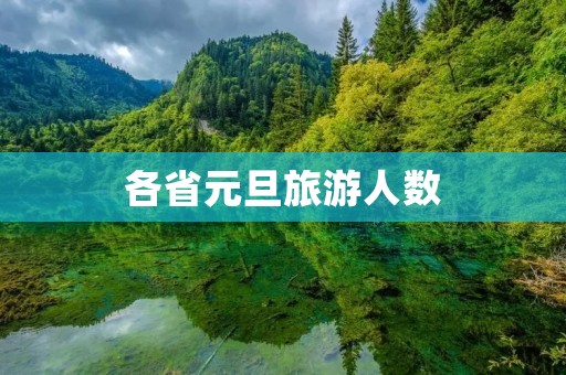 各省元旦旅游人数
