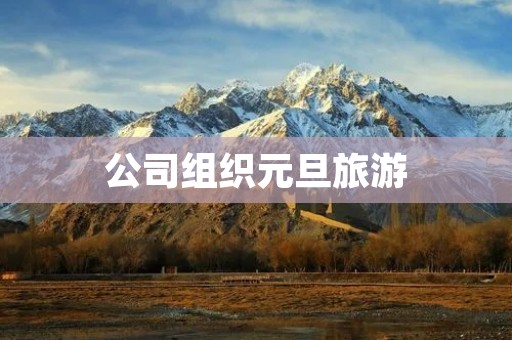 公司组织元旦旅游