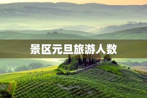 景区元旦旅游人数