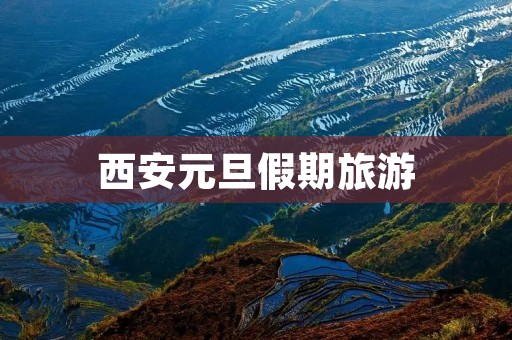 西安元旦假期旅游