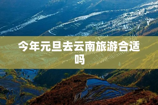 今年元旦去云南旅游合适吗