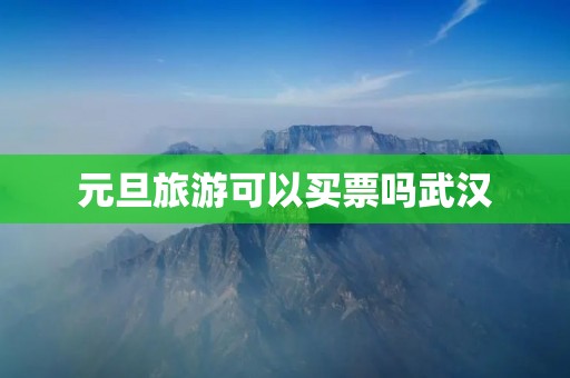 元旦旅游可以买票吗武汉