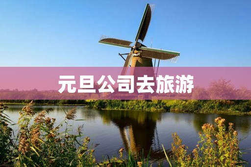 元旦公司去旅游