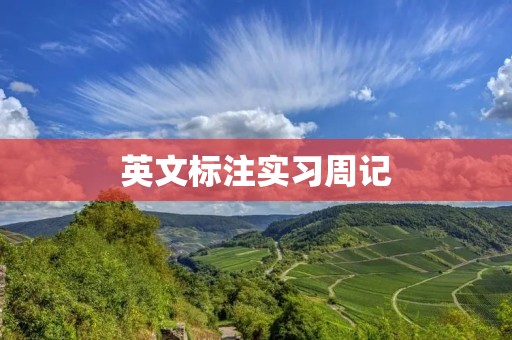 英文标注实习周记