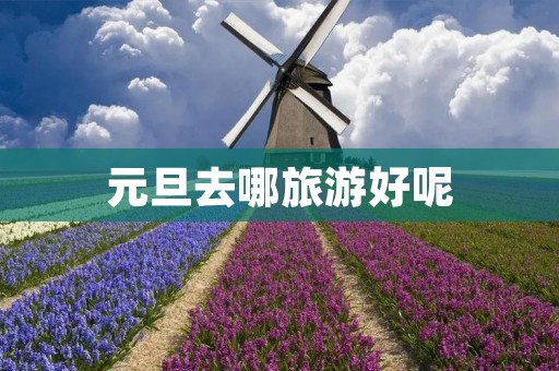 元旦去哪旅游好呢