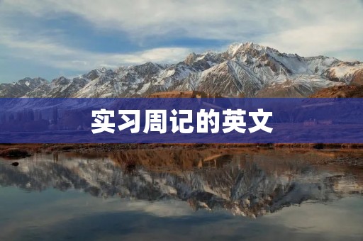 实习周记的英文
