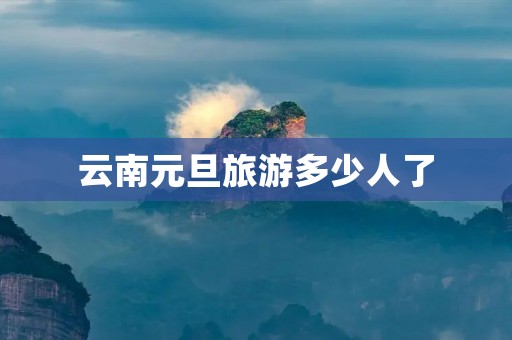 云南元旦旅游多少人了