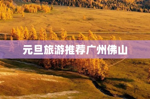 元旦旅游推荐广州佛山