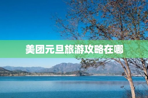 美团元旦旅游攻略在哪