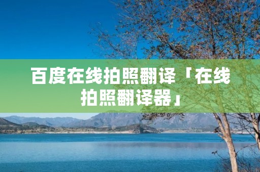 百度在线拍照翻译「在线拍照翻译器」
