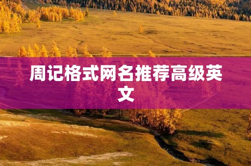 周记格式网名推荐高级英文