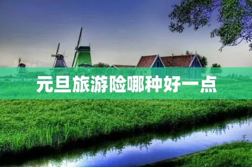 元旦旅游险哪种好一点