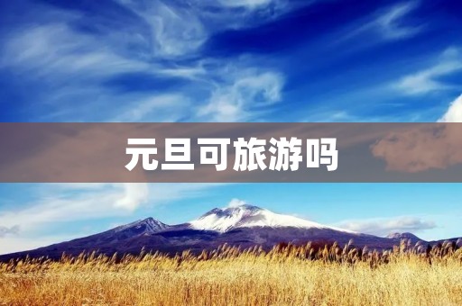 元旦可旅游吗