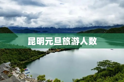 昆明元旦旅游人数