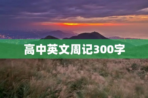 高中英文周记300字
