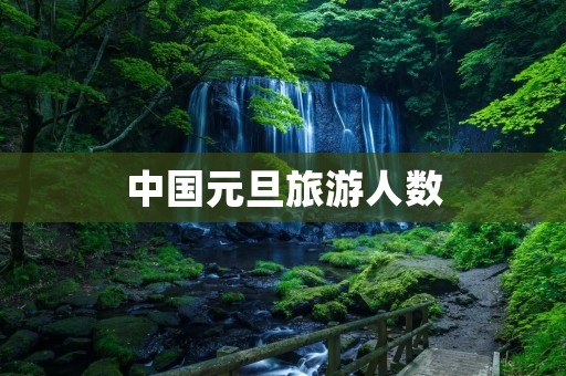 中国元旦旅游人数