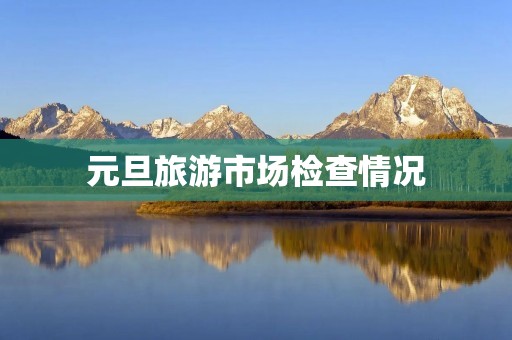 元旦旅游市场检查情况