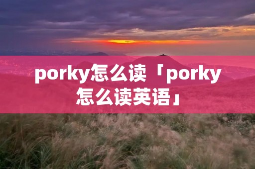 porky怎么读「porky怎么读英语」
