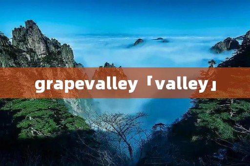 grapevalley「valley」 grapevalley「valley」