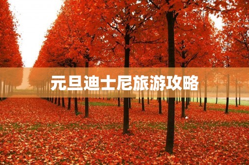 元旦迪士尼旅游攻略
