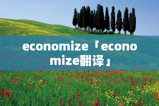 economize「economize翻译」