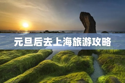 元旦后去上海旅游攻略