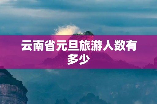 云南省元旦旅游人数有多少