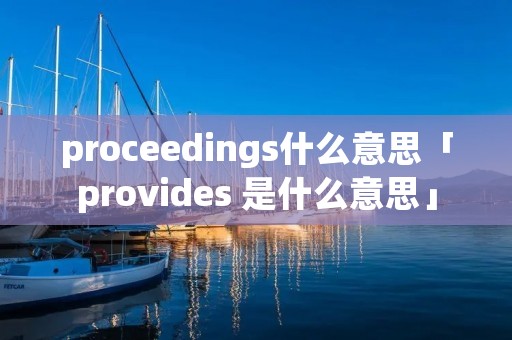 proceedings什么意思「provides 是什么意思」