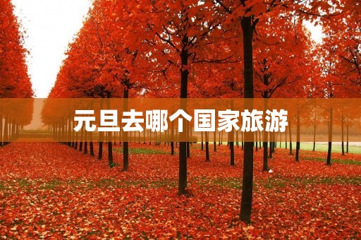 元旦去哪个国家旅游
