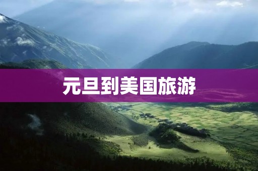 元旦到美国旅游